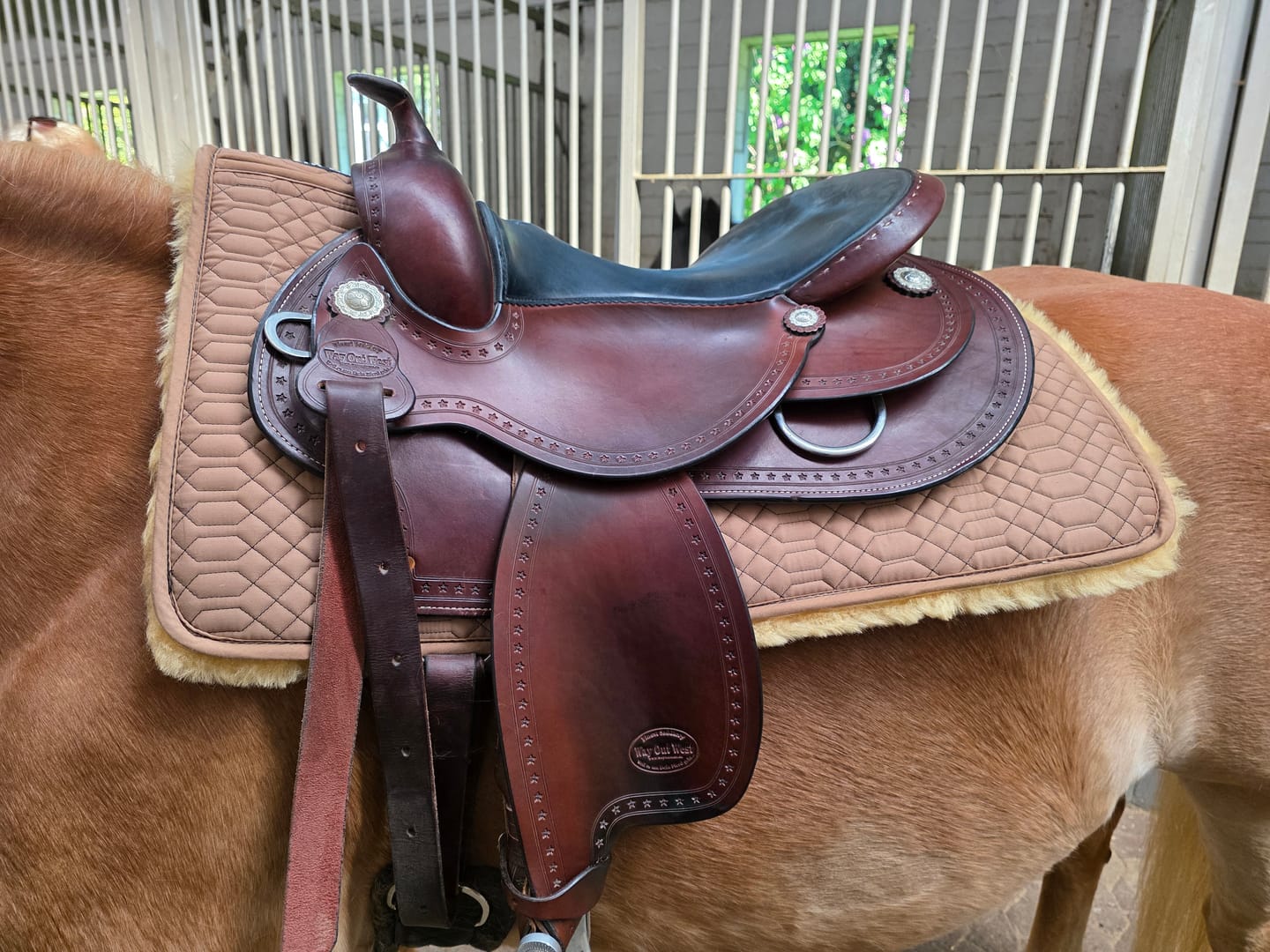 Customer photo review of Engel - Lammfell Korrektur Aufpolster Westernpad Square