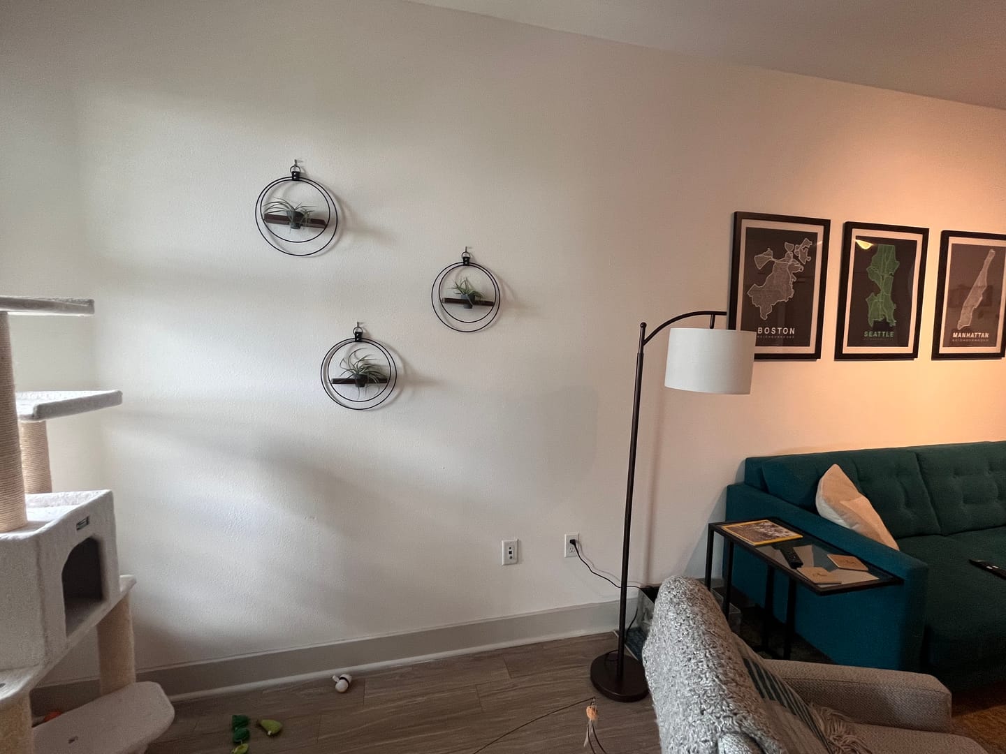 Customer photo review of Air Plant Shelf + Pot Trio