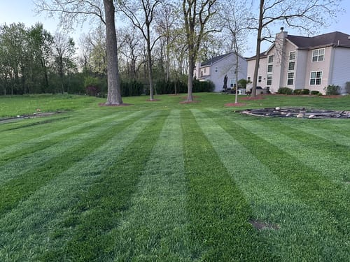 Customer photo