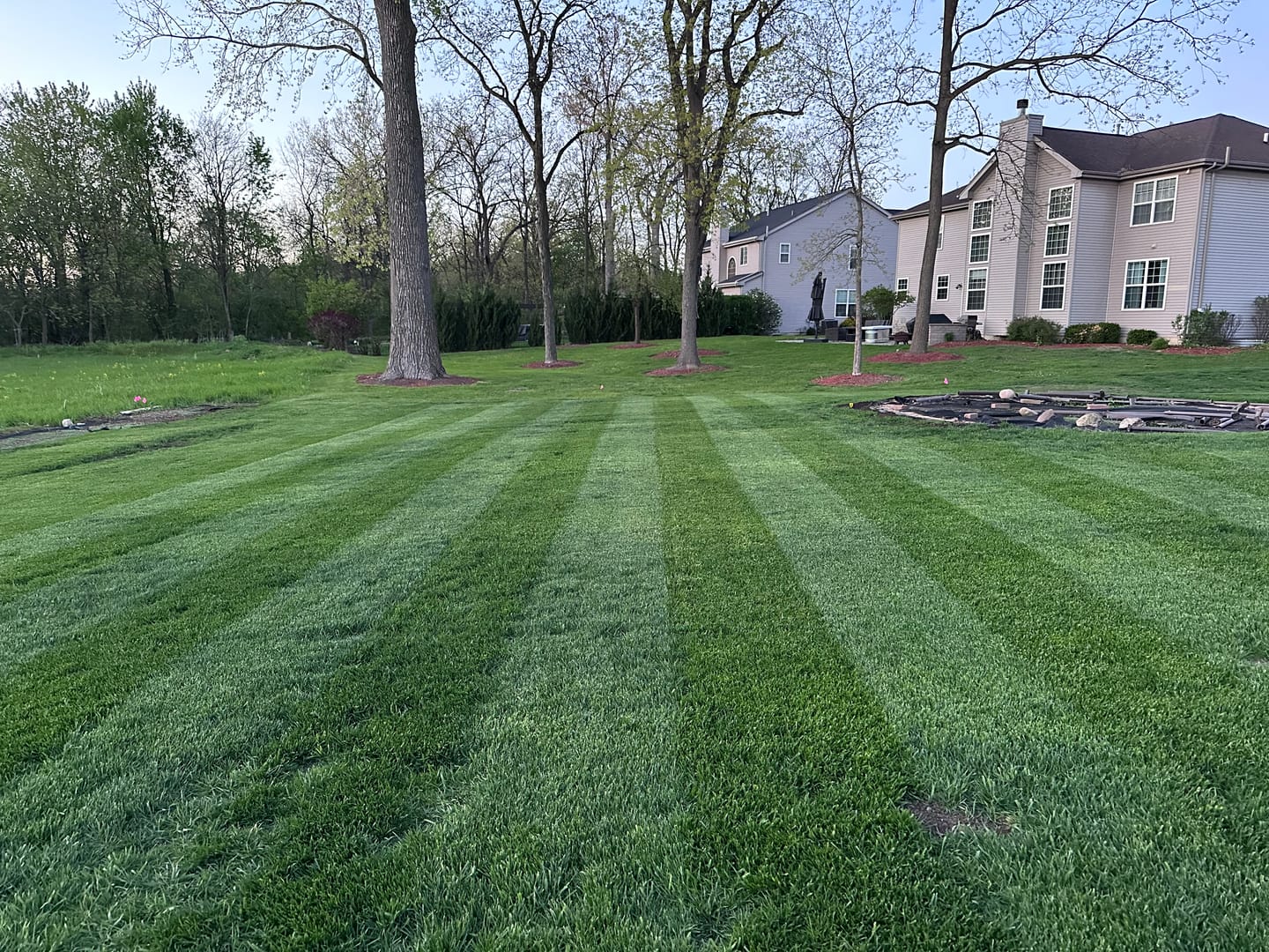 Customer photo review of CarbonizPN®-G Granular Soil Enhancer