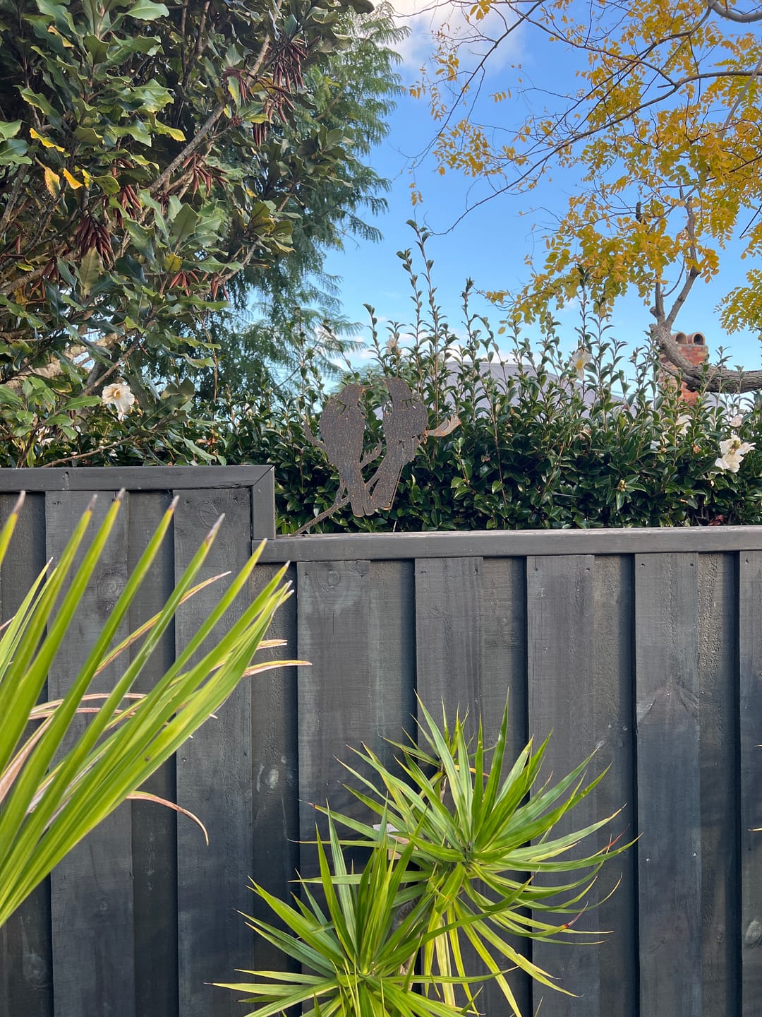 Customer photo review of Tūī Twosome