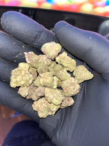 Customer photo review of Black Runtz THCA Flower Mediums