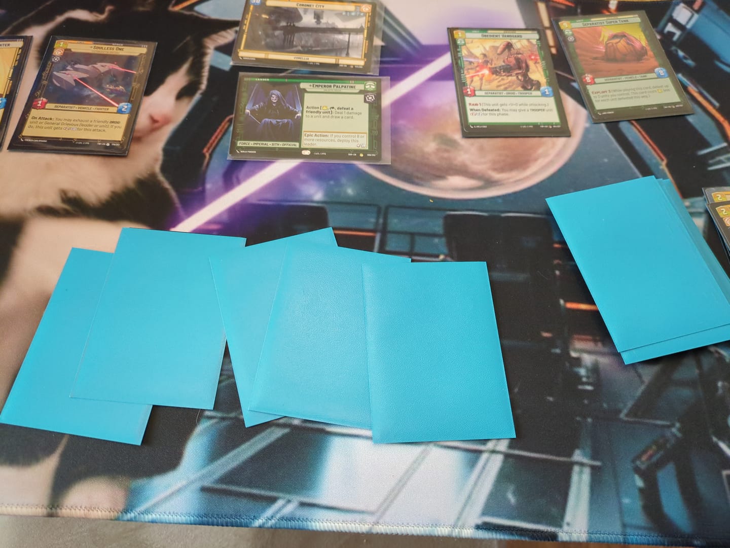 Customer photo review of Design Your Own Playmat