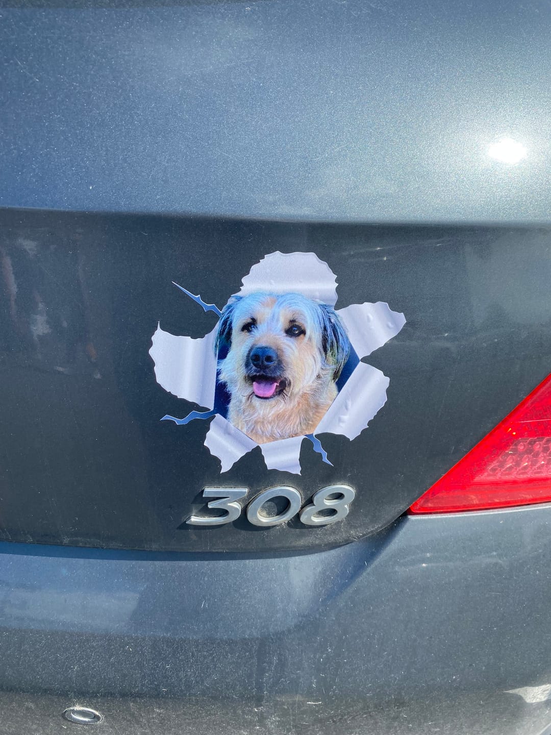 Customer photo review of Photo animal curieux - Autocollant pour voiture personnalisé