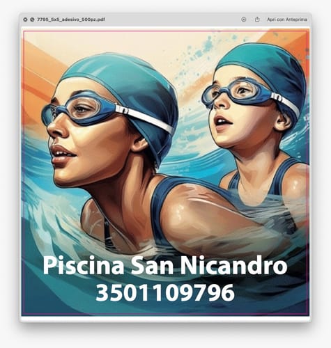 Customer photo review of PROMO - Sticker Vinile Classici