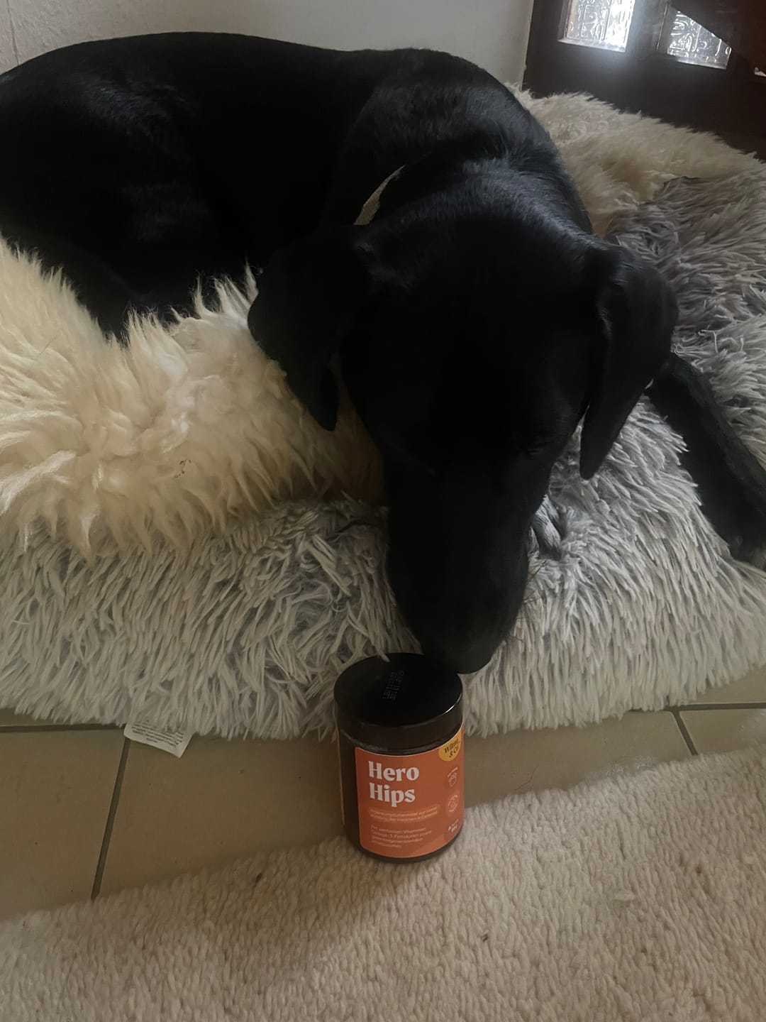 Customer photo review of Hero Hips | Pulver für den Bewegungsapparat