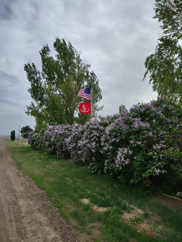 Customer photo review of Ultra Heavy Duty American Flag - 2-ply Polyester - Made In USA
