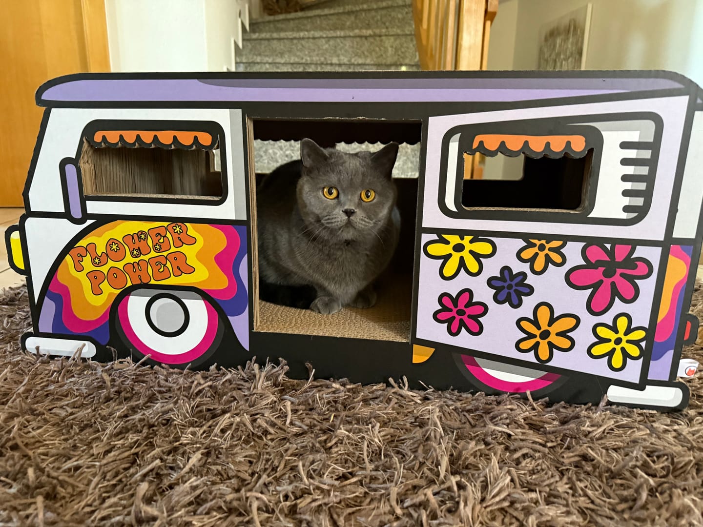 Customer photo review of Hippie-Camper XXL