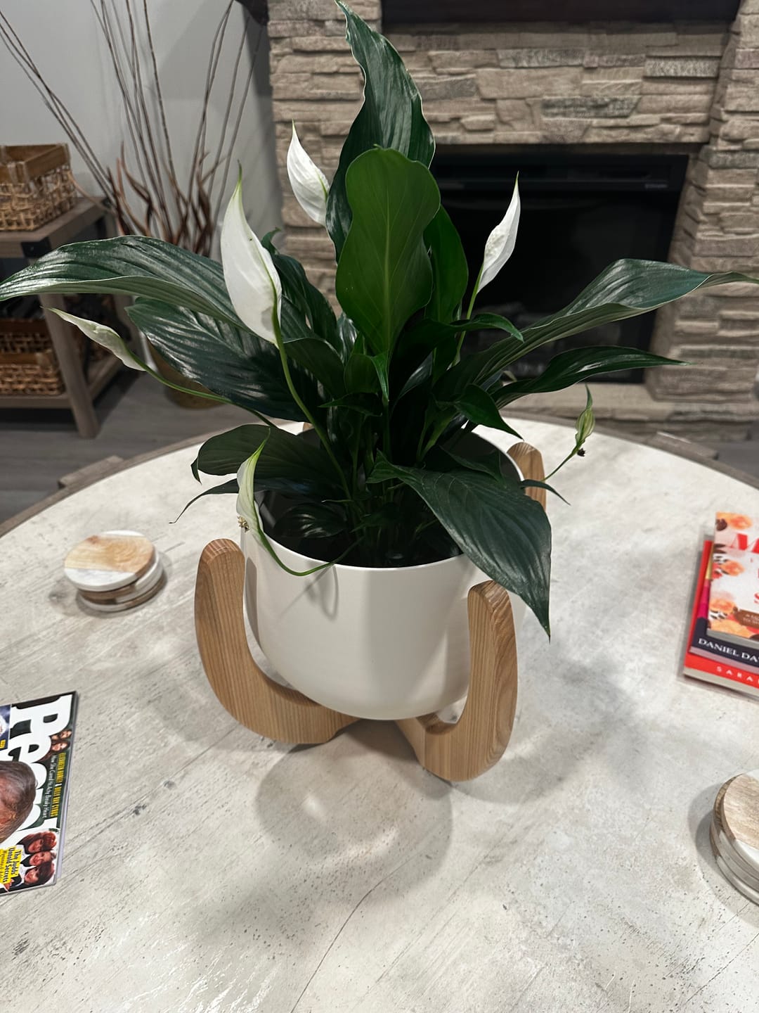 Customer photo review of Nested Plant Stand + Pot