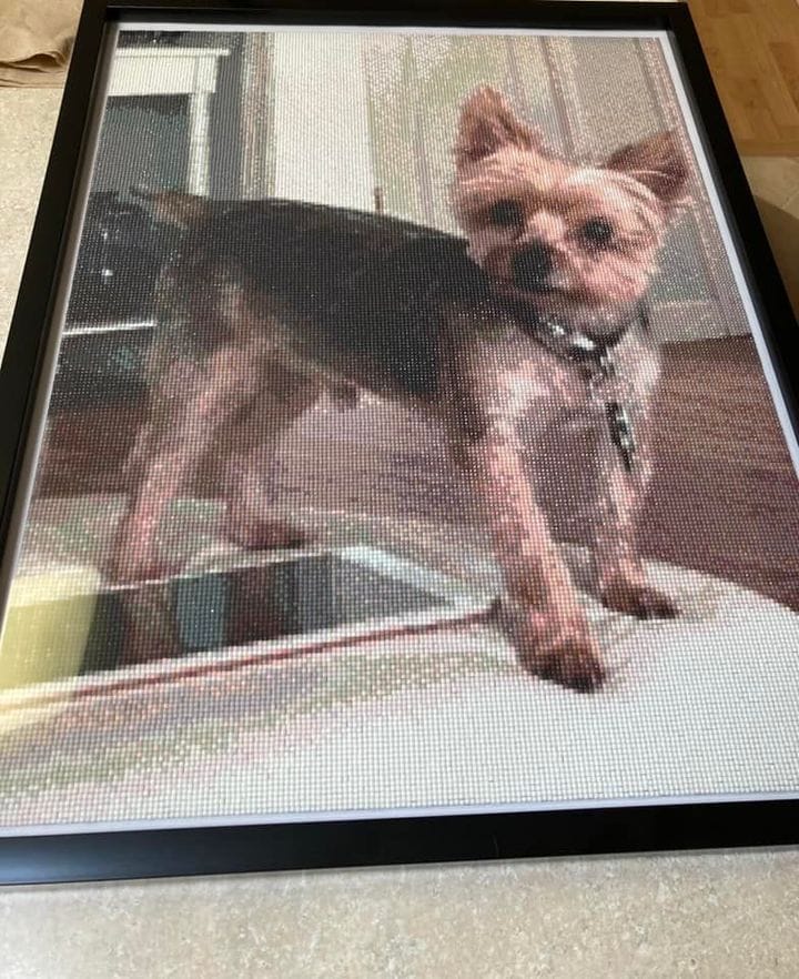 Customer photo review of DIAMOND PAINTING MED DIT EGET FOTO