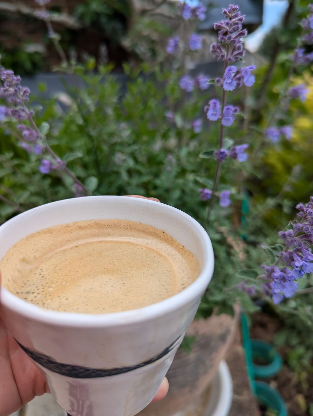 Customer photo review of Medium Roast Fairtrade Organic Coffee, Beans or Ground - 200g, 500g, 1kg