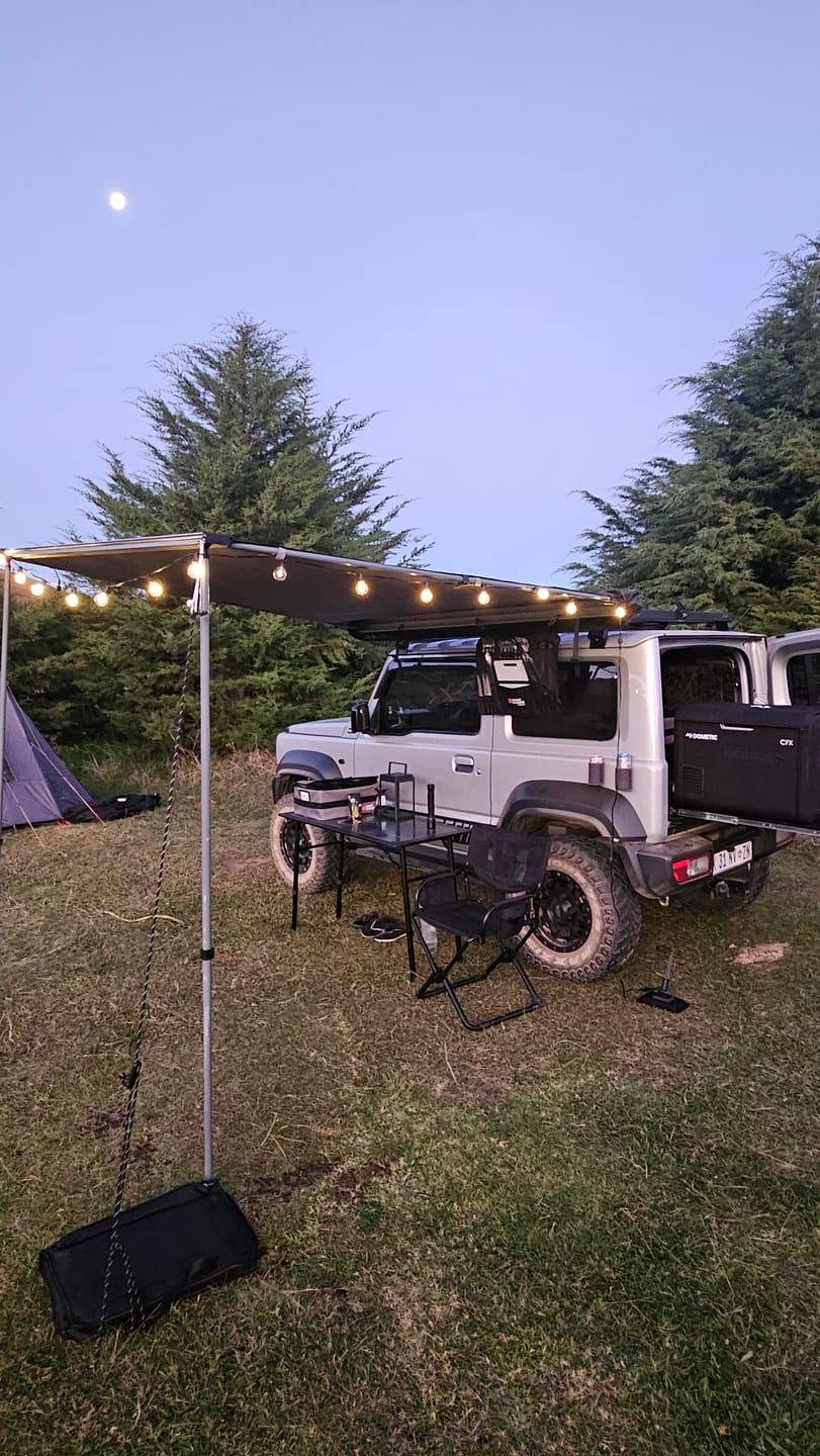 Customer photo review of Solar Mini Bulb String Lights - Black