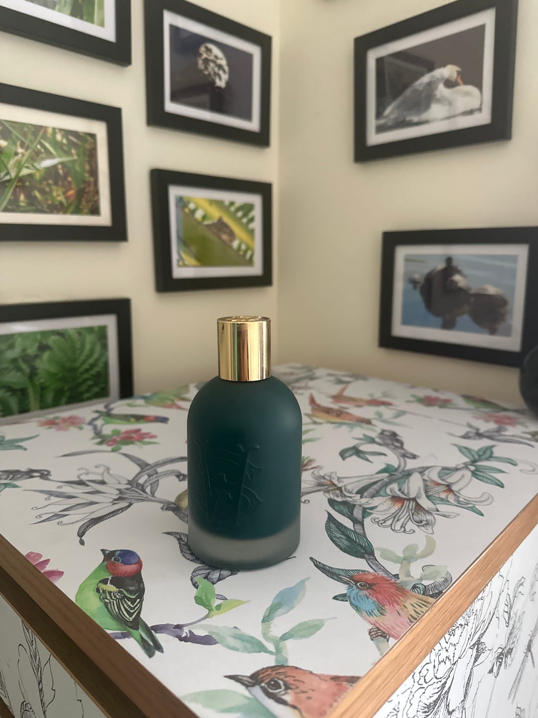 Customer photo review of Bambooshka