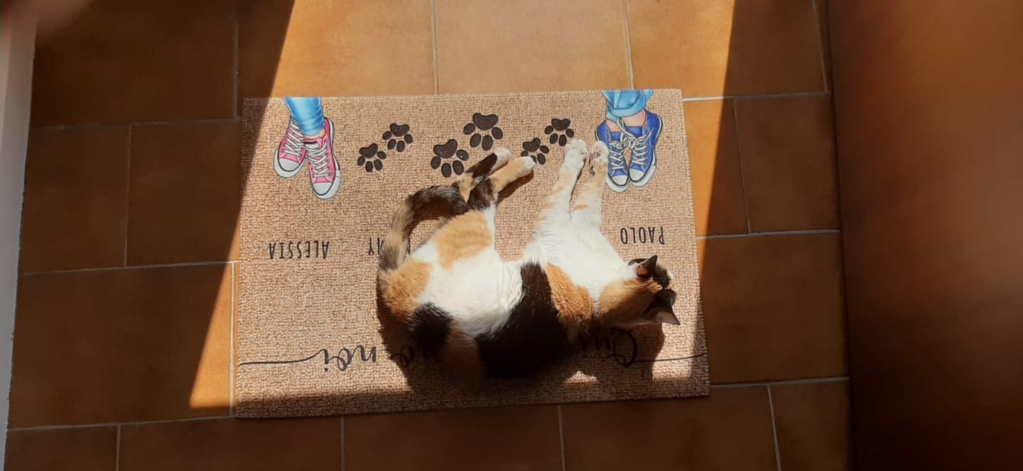 Customer photo review of Scarpe e zampe - Zerbino personalizzato