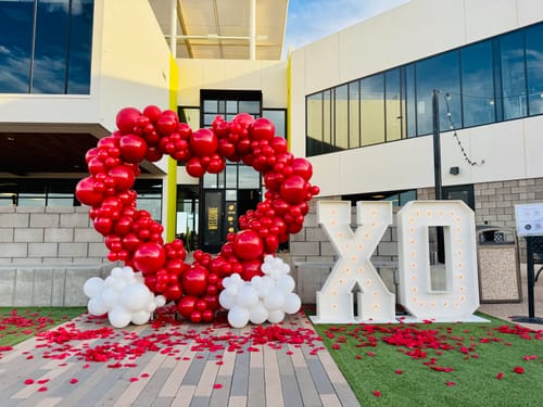 Customer photo review of 6.5ft Heart Shape Balloon Backdrop Stand