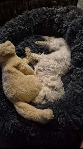 Customer photo review of CalmBed - Motverkar stress & hjälper mot ångest