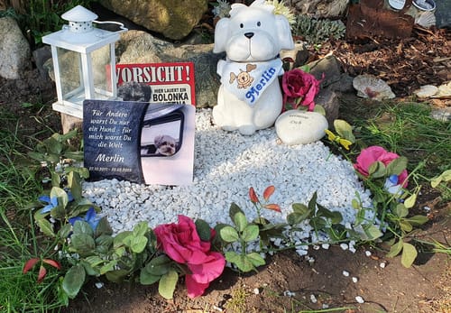Customer photo review of Hunde Gedenktafel mit Foto & Spruch (UV- & Wetterfest)
