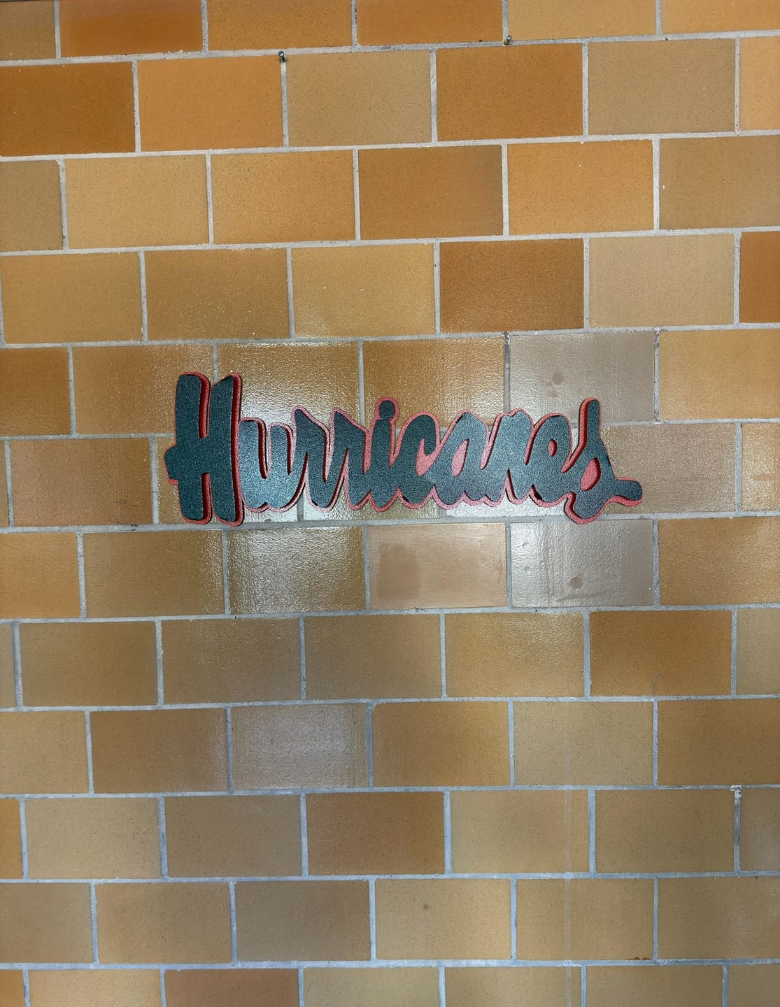 Customer photo review of Miami Hurricanes Script 3D Vintage Metal Wall Art