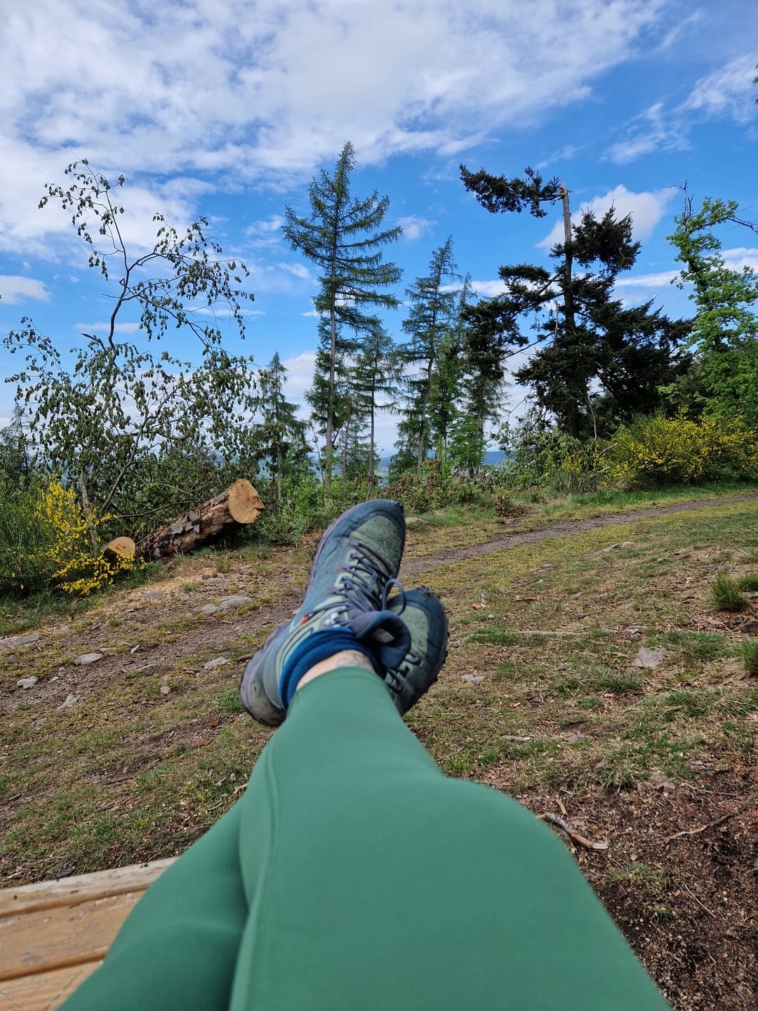 Customer photo review of Pala Premium