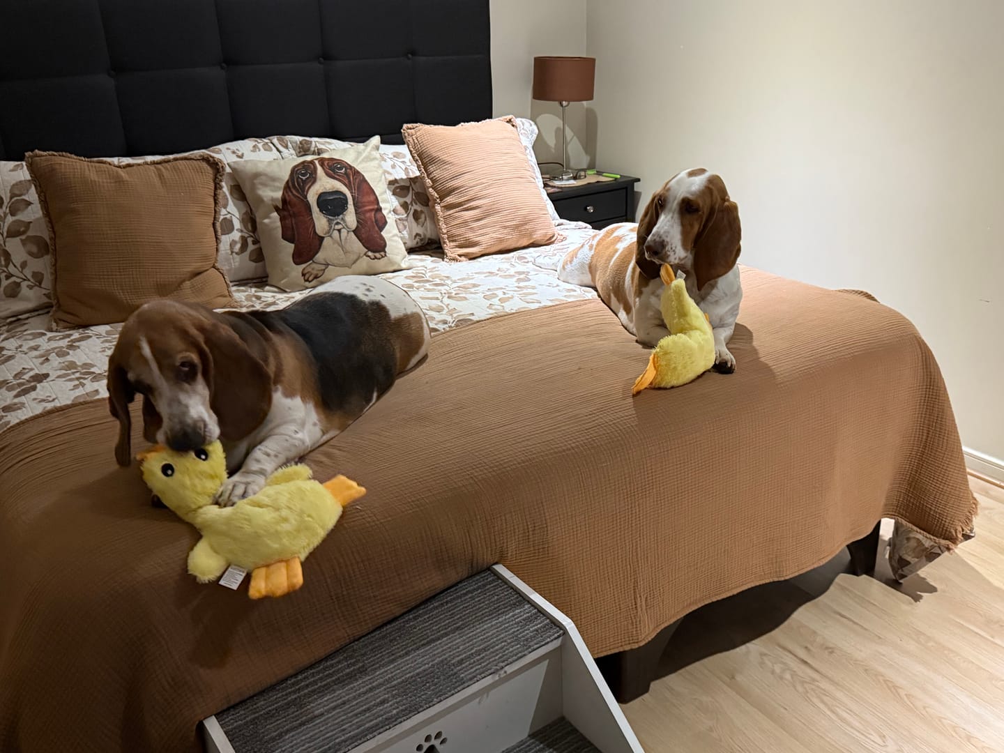 Customer photo review of Pato Antiestrés