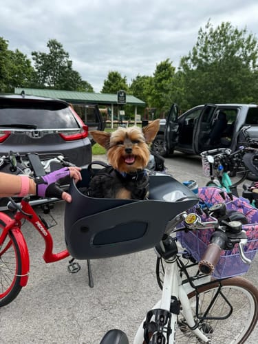 Customer photo review of Kvisp Dog Bike Carrier