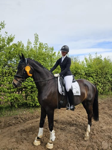 Customer photo review of Strotonin Horse Support