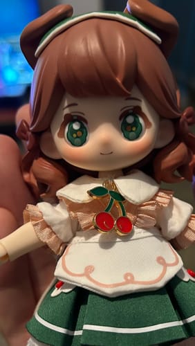 Customer photo review of NYZAII Dream Town Series 1/12 Action Figure BJD Blind Box