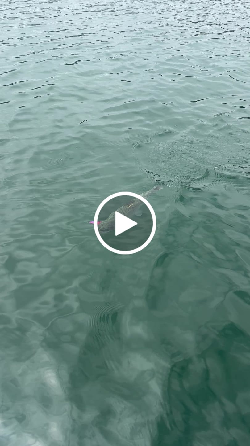 Customer video review of Metal Head Fly