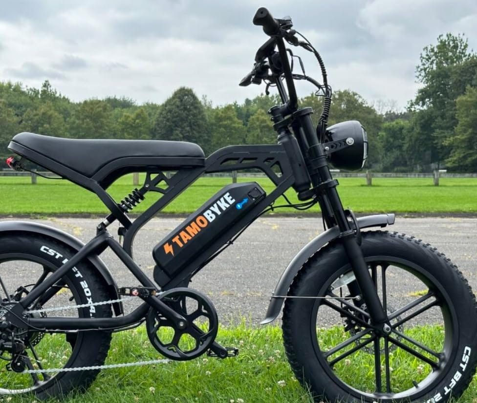 Customer photo review of Tamobyke V20 Electric Bike