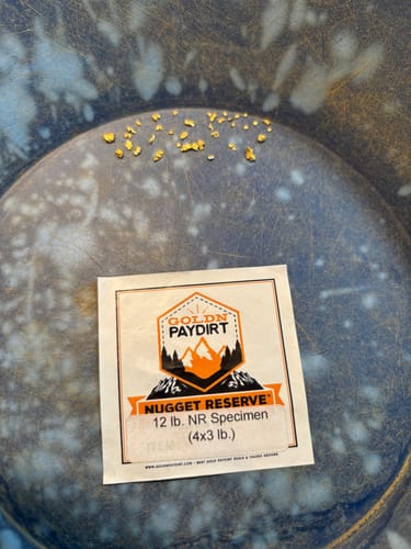 Customer photo review of 3 Lb. NUGGET RESERVE™ ‘Museum Specimen Chase’ - Gold Paydirt