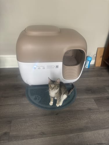 Customer photo review of Self-Cleaning Litter Box