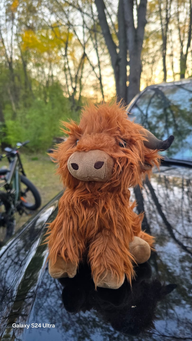 Customer photo review of Alaska Pro M-520