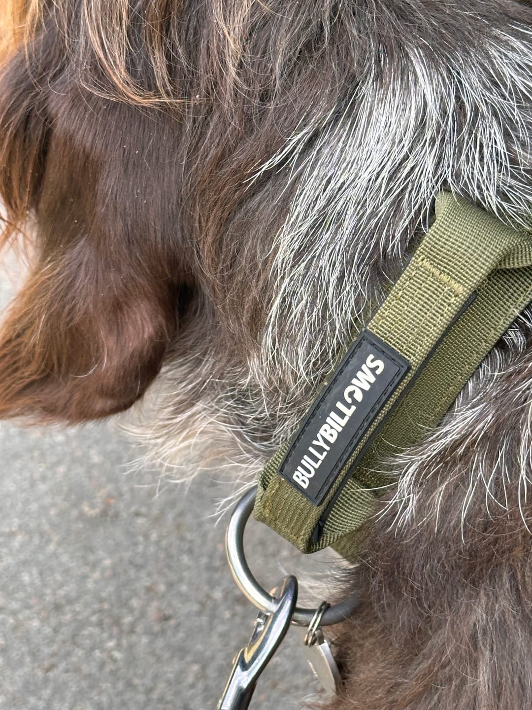 Customer photo review of 4cm Combat® Collar | Handle & Rated Clip -  Khaki