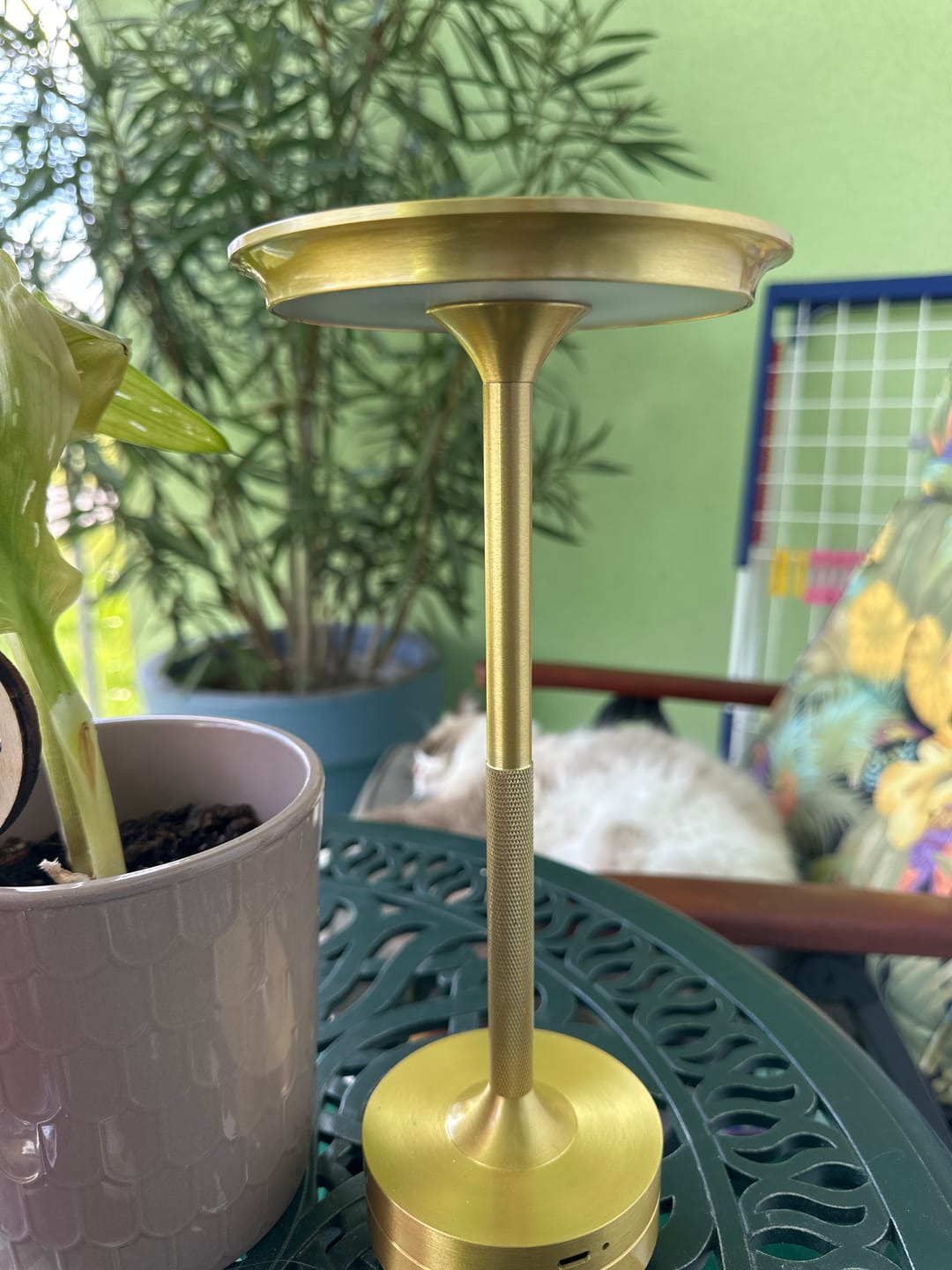 Customer photo review of Tap-light® - Retro Tischlampe Vintage Original