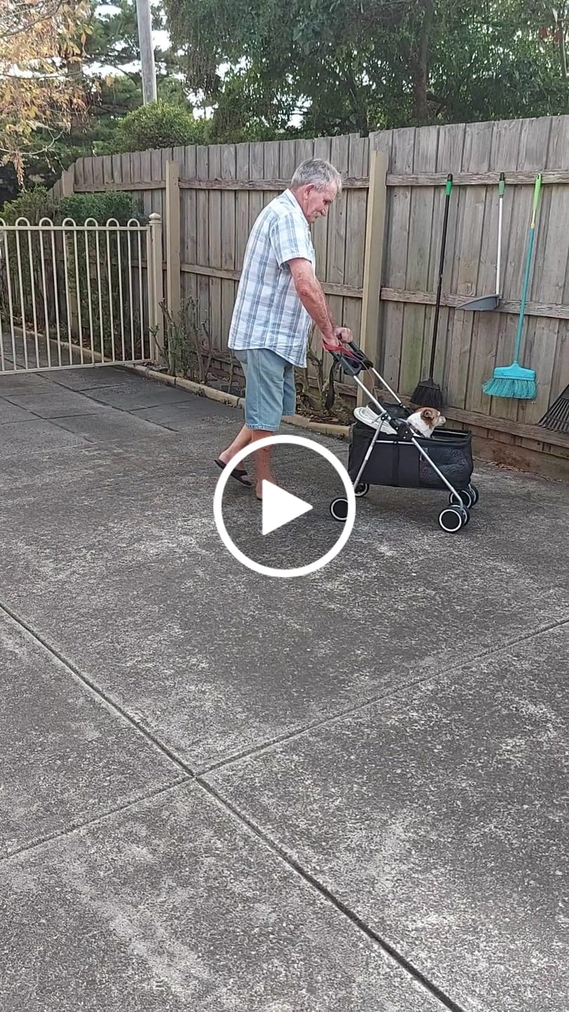 Customer video review of Pawz Compact & Comfortable Pet Stroller
