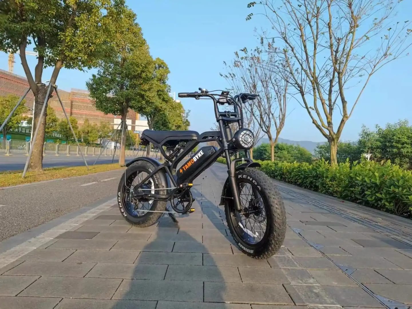 Customer photo review of Tamobyke V20 Electric Bike