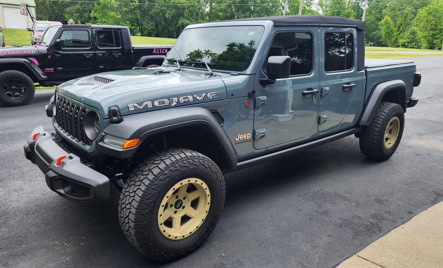Customer photo review of Mojave Hood Lettering Textured - Snake Skin
