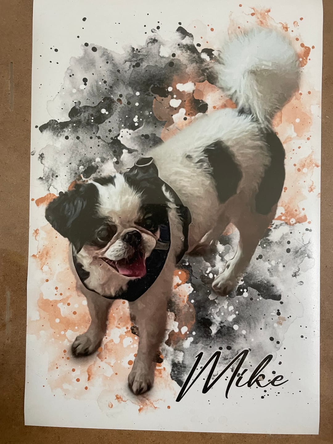Customer photo review of Tierisches Wasserfarben Portrait