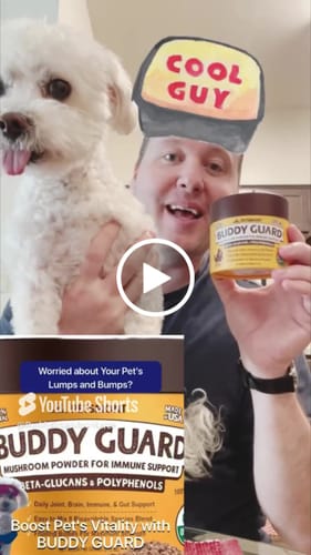 Customer video review of Petsmont Buddy Guard