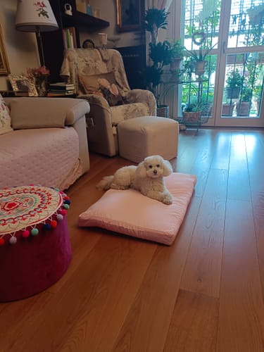 Customer photo review of Materassino Sfoderabile Vichy Rosa