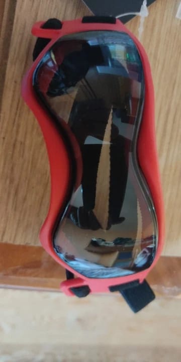Customer photo review of Dog Outdoor UV Protection Sunglasses Goggles