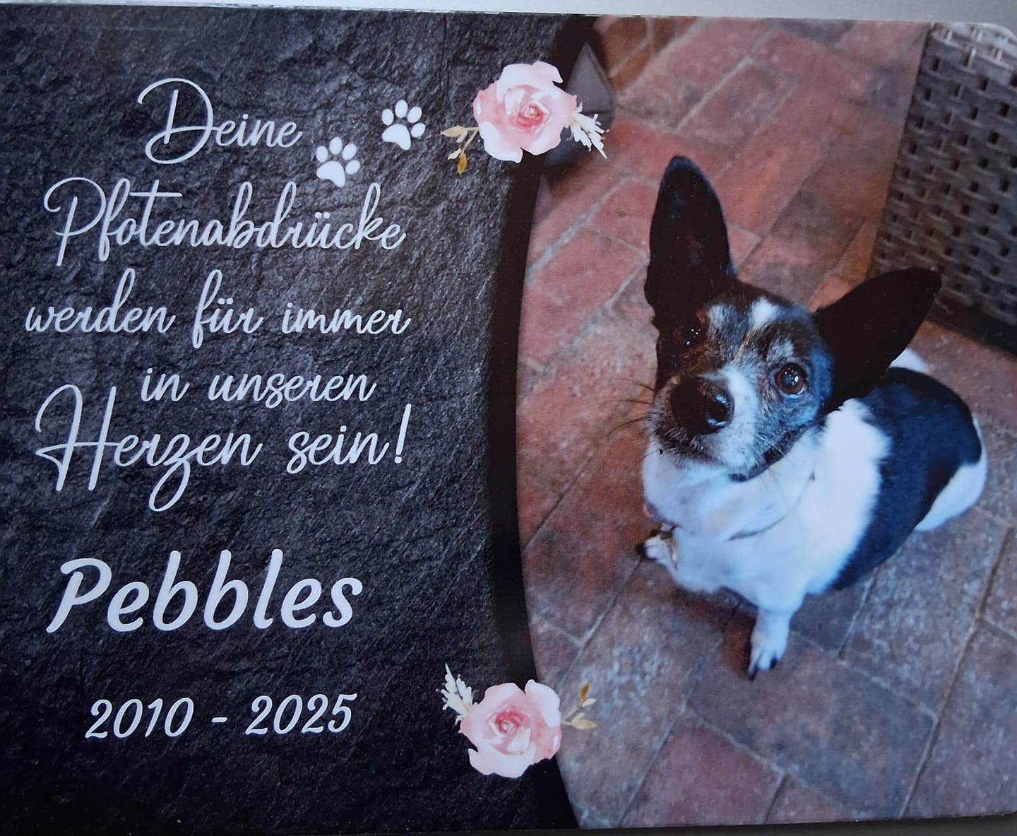 Customer photo review of Hunde Gedenktafel mit Foto & Spruch (UV- & Wetterfest)