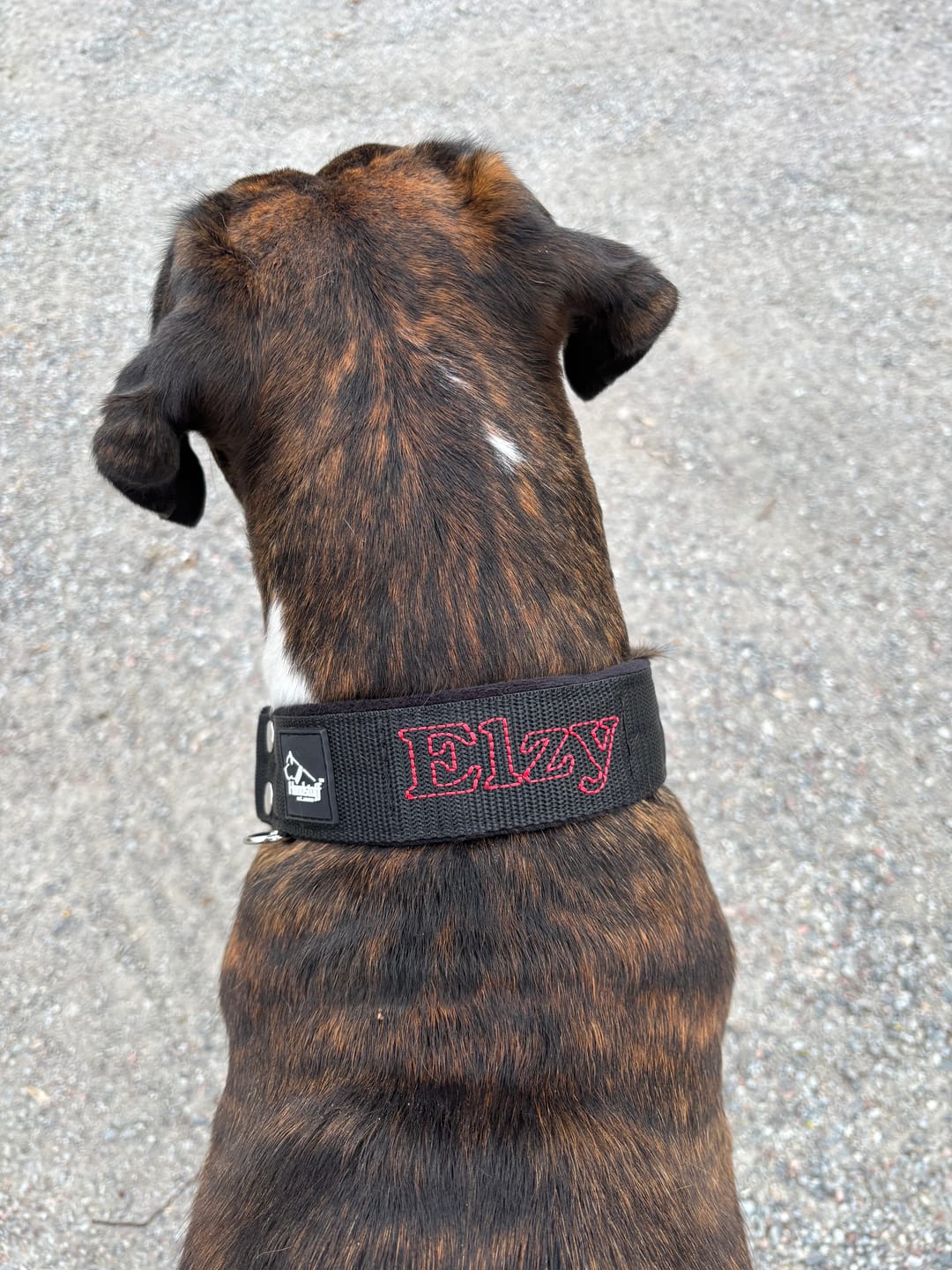 Customer photo review of Martingale halsband med namn