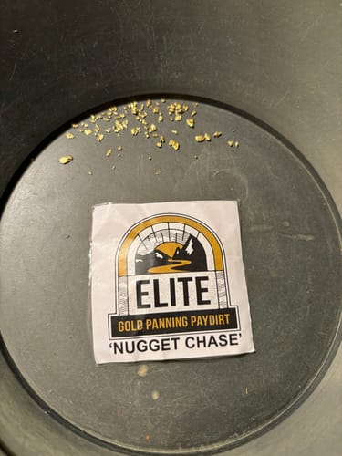 Customer photo review of Elite 'NUGGET CHASE' - Gold Panning Paydirt Concentrate