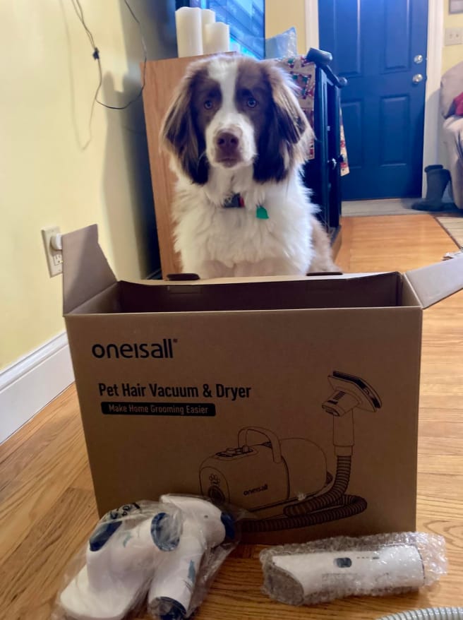 Customer photo review of Oneisall Cozy C1 8-in-1 Pet Grooming Vacuum & Dryer Kit