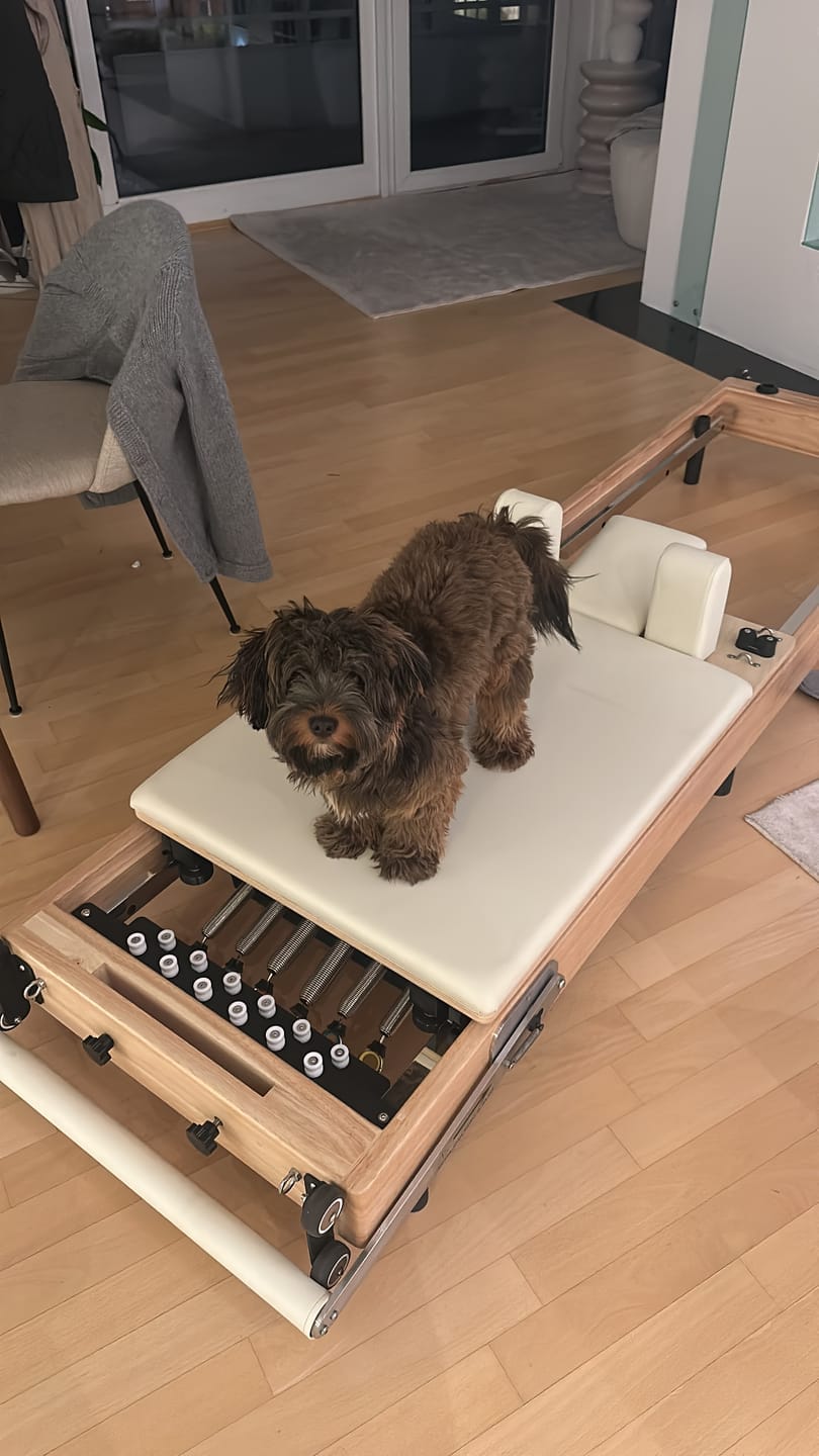 Customer photo review of Pilates Reformer Pliable - Flexi