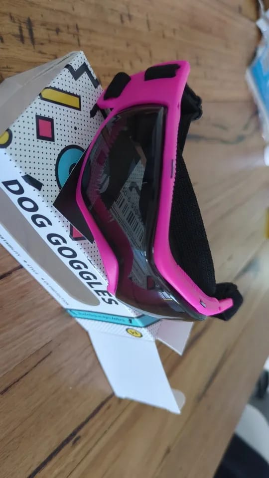 Customer photo review of Dog Outdoor UV Protection Sunglasses Goggles
