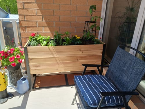 Customer photo review of 18" x 48" Raised Garden Bed - 30" TALL