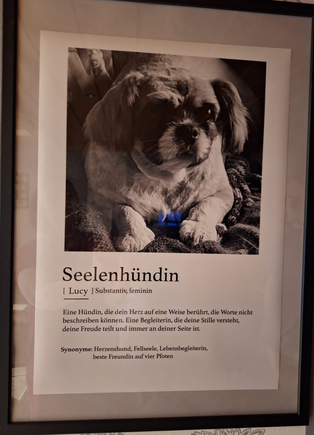 Customer photo review of Definition Seelentier - Individuelles Poster