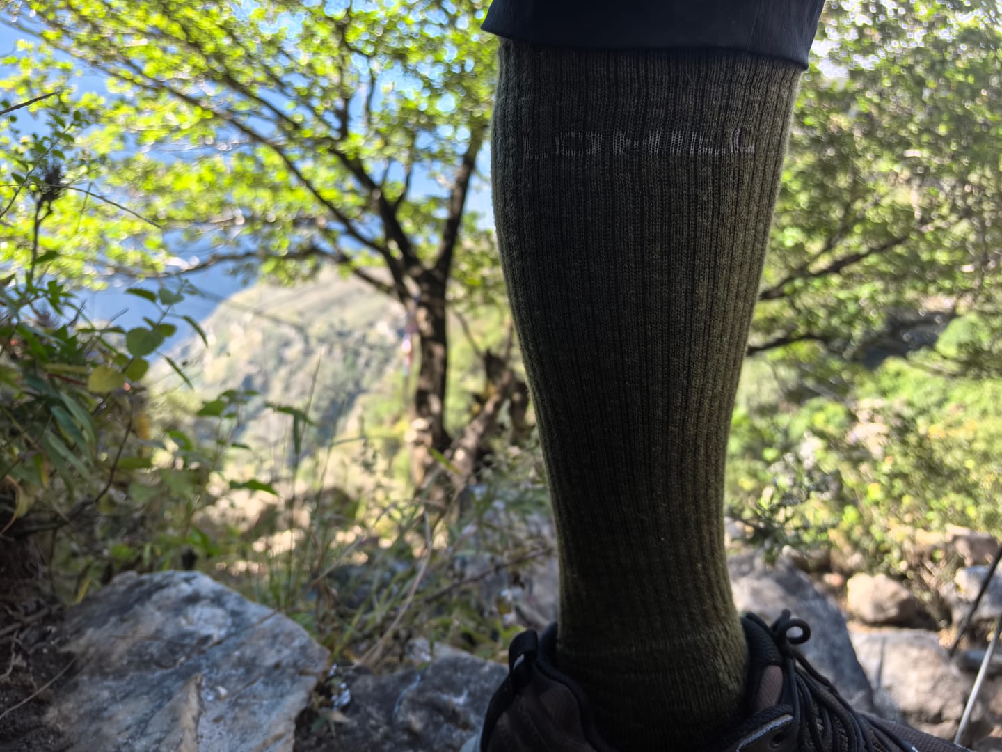 Customer photo review of Alpaca Sock 3 Pack